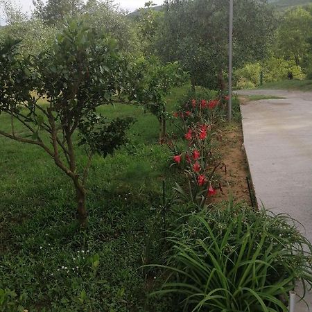 Apartman Petovic Kotor Ngoại thất bức ảnh