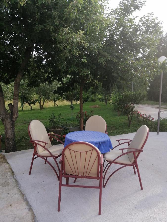Apartman Petovic Kotor Ngoại thất bức ảnh